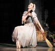 Cinderella Gallery